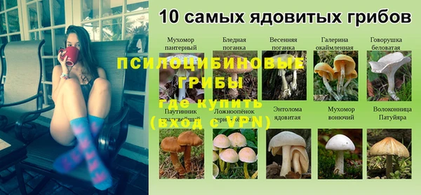 прущая мука Алексин