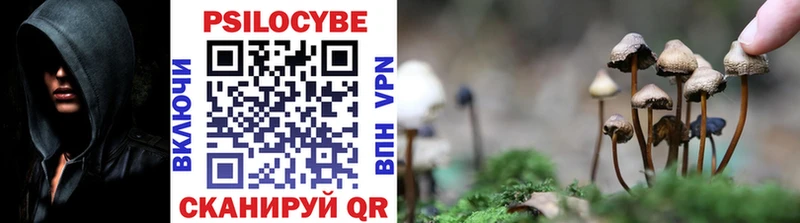 купить наркотики цена  Березники  Псилоцибиновые грибы Cubensis 